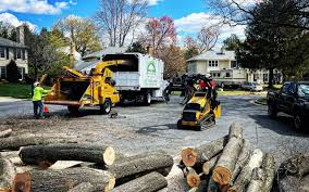Best Tree Health Inspection  in Mauston, WI
