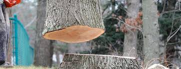 Best Tree Trimming and Pruning  in Mauston, WI