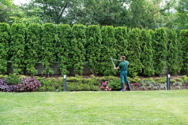 Leaf Removal in Mauston, WI