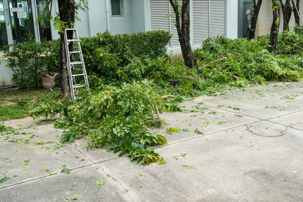 Best Lawn Watering Services  in Mauston, WI
